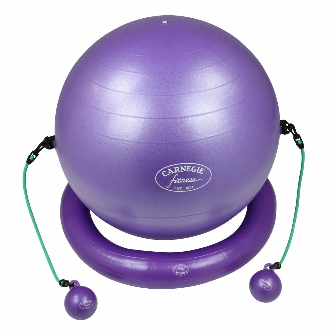 Carnegie Iso Gymnastikball Ø ca. 65 cm + Ring Widerstandsband Tubes Toning Balls DVD Poster
